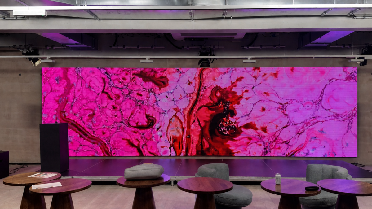 Display systems for transport and public environments